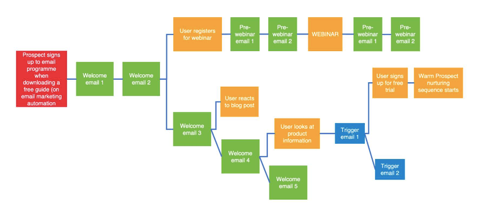 automated email campaign